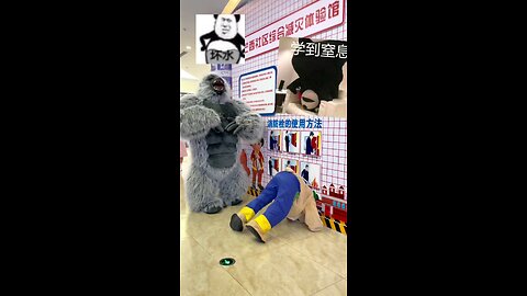 Naughty Bear Daily Funny Prank Ep-11