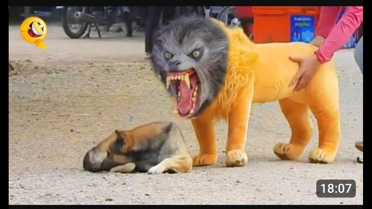 Troll Prank Dog Funny and Fake Lion Prank