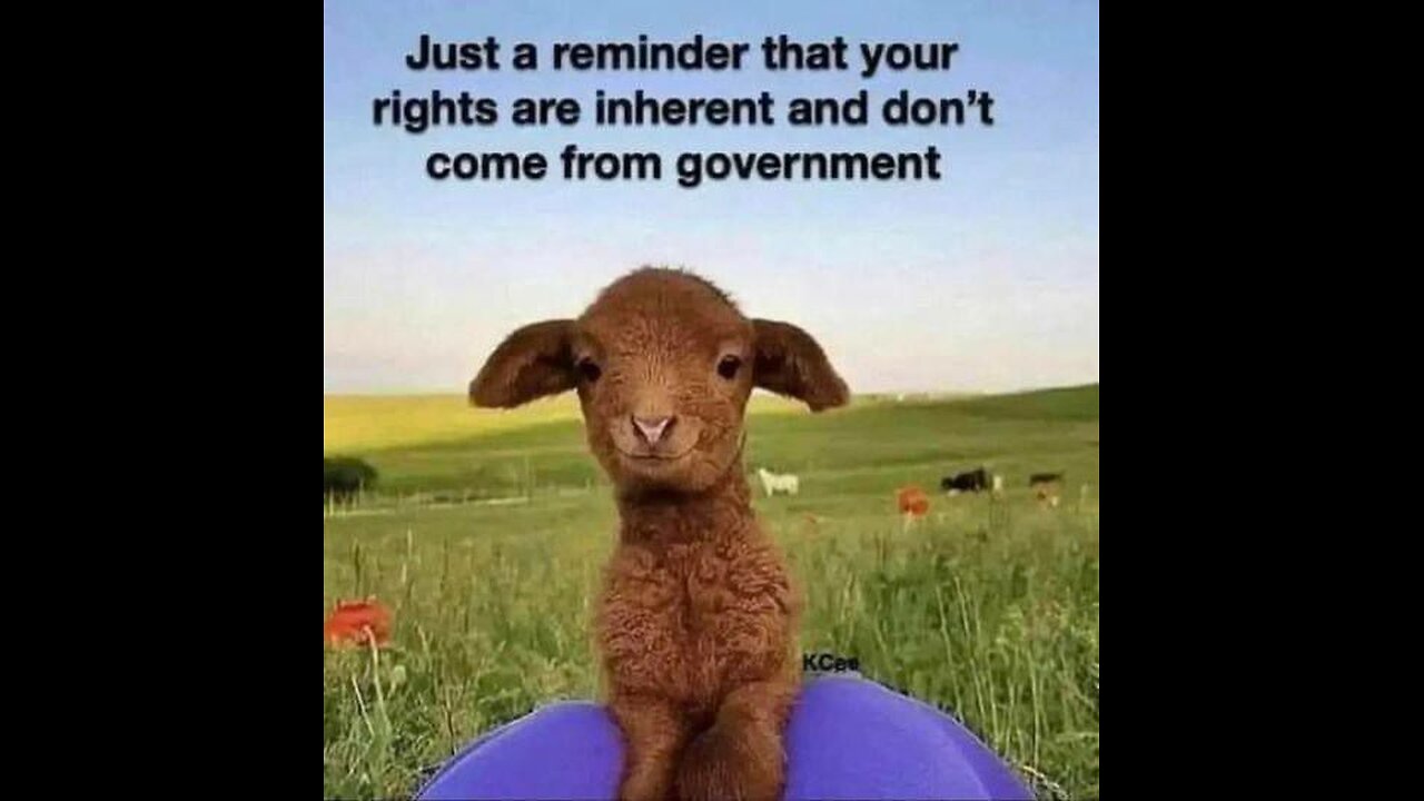 happy birthday America