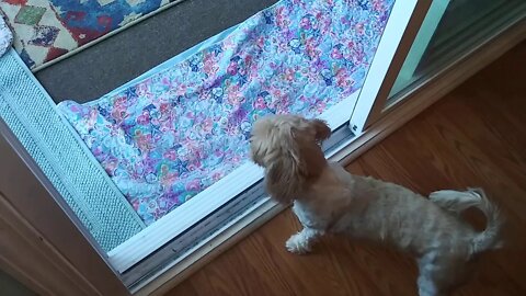 Toby's Visit