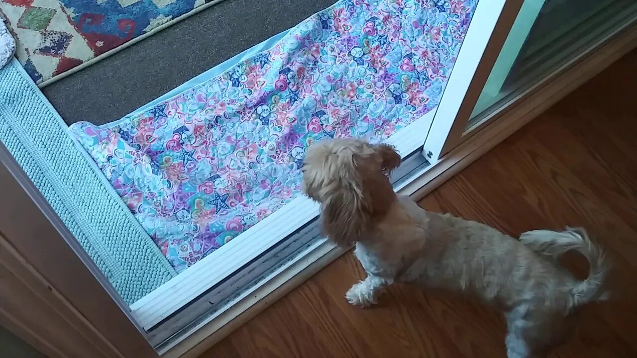 Toby's Visit