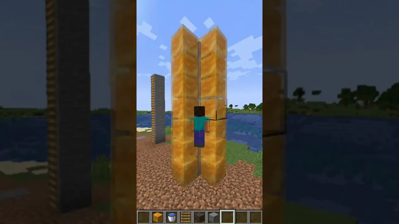 Minecraft ladder trick 😱 #minecraft #shorts