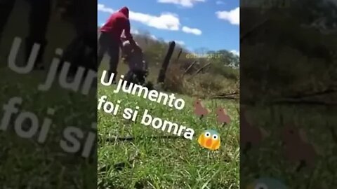 MIROU UM BURRO ACERTOU O OUTRO PENSA NUMA LAPADA ( MEME ) ( VIRAL ) #shorts