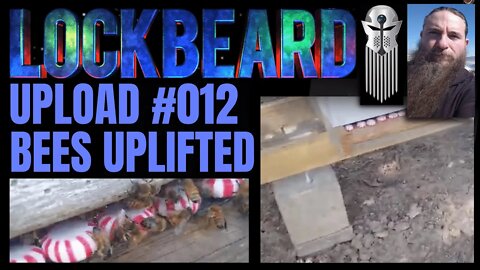 UPLOAD #012 BEES UPLIFTED