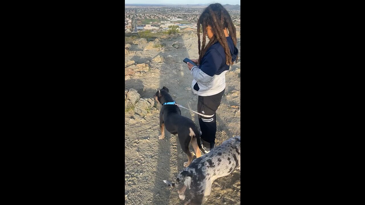 Hiking with the puppies