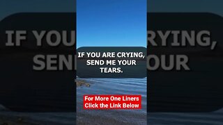 One Liner Jokes on REALarious…🤣🤣🤣