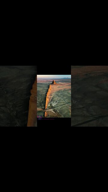 These are the remains of the ancient forest of our much larger past. #mudfossils #mudflood