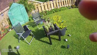 My Garden End Of May 2020 - Update