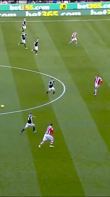 The longest goal in the history (short video)