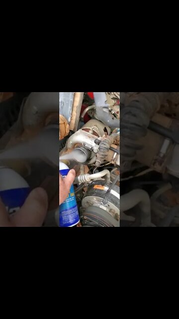 #shorts #2022 funny,prank,funjokes,dad jokes,funny memes,funny video,fun,laughing,funny animal,knock