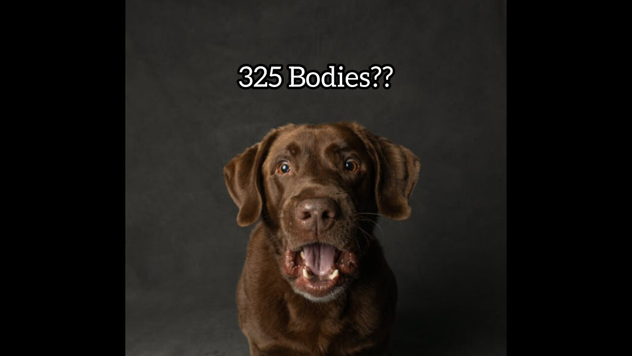 325 Bodies?