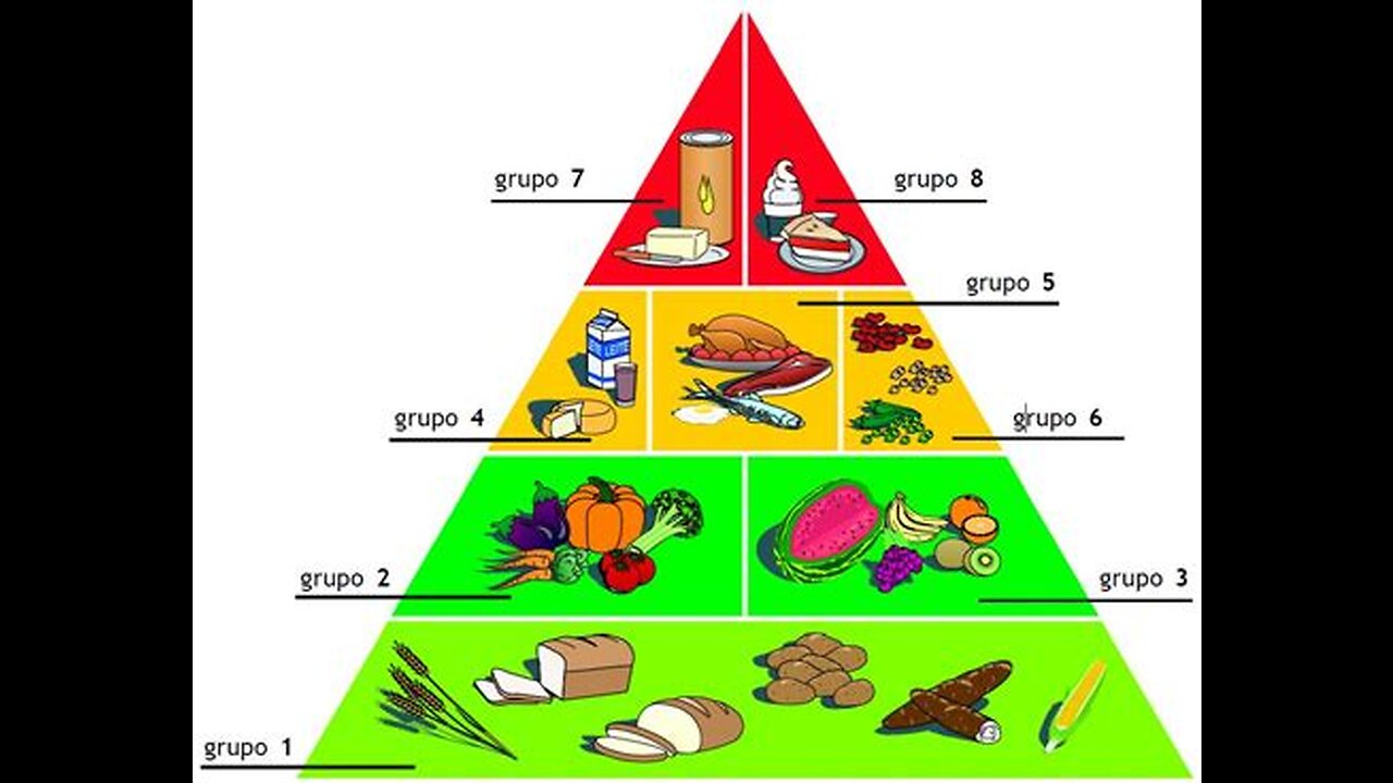 PIRÂMIDE ALIMENTAR E O QUE NÃO TE CONTARAM