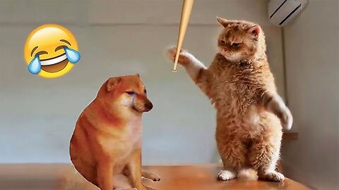 Funniest Animals 2024 😂 Best Funny Cats and Dogs Part 3 | Cute Baby Dogs