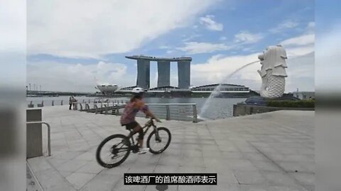 新加坡用回收的冲厕水酿造啤酒，啤酒上市后似乎还挺火……