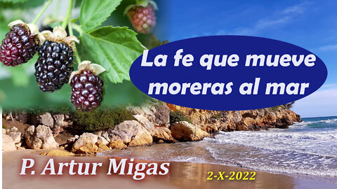 "La fe que mueve las moreras al mar" - Sermón de P. Artur Migas - Domingo 2 Oct 2022