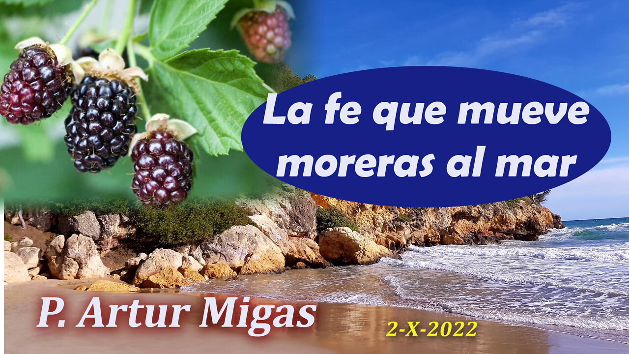 "La fe que mueve las moreras al mar" - Sermón de P. Artur Migas - Domingo 2 Oct 2022