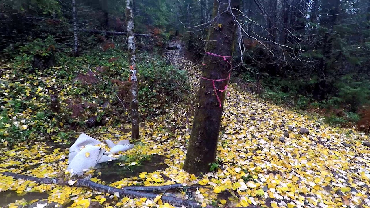 Litter in the Countryside