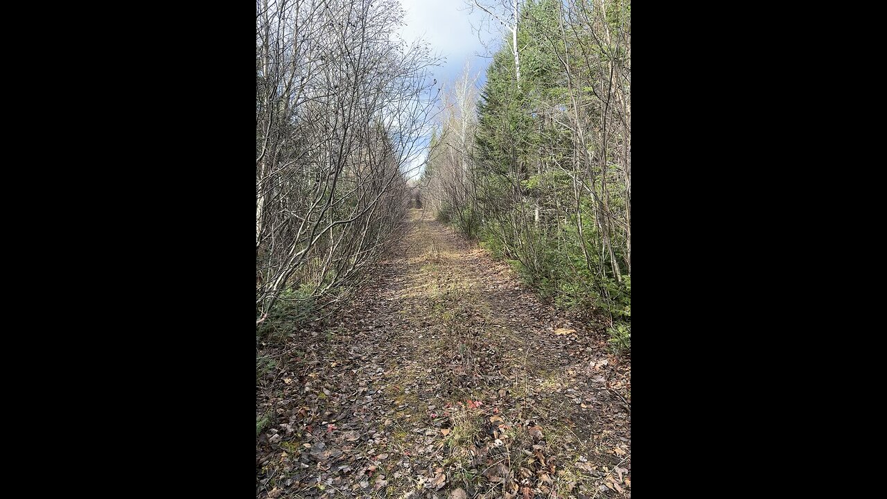 Looking for deer!