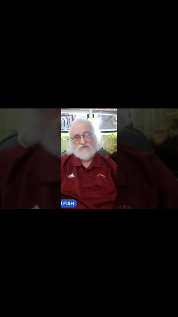 I HATE CANISTER FILTERS