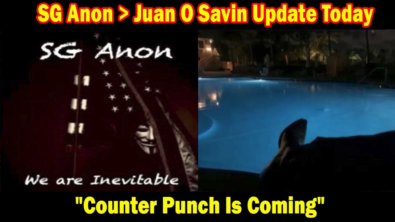 SG Anon > Juan O Savin Update Today Nov 10: "Counter Punch Is Coming"