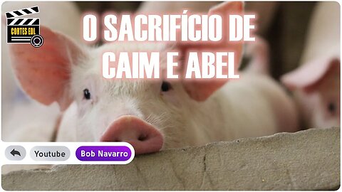 Por que em algumas religiões é pecado comer carne suína?