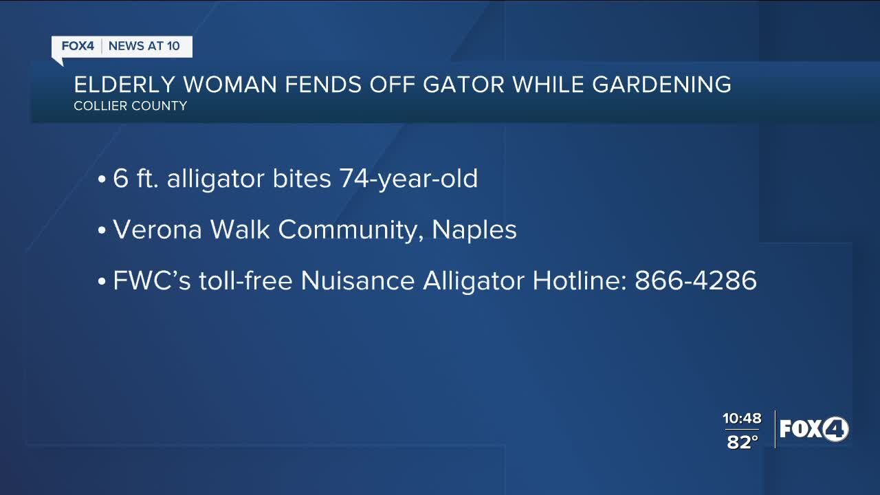 Woman fights off alligator