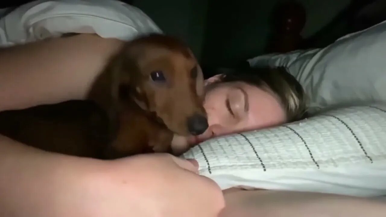 Finally caught him.