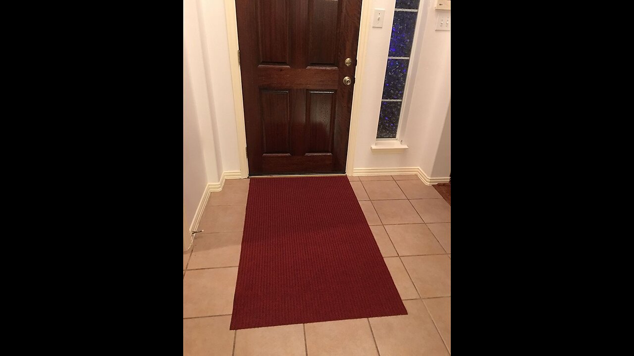 Witty Gadget Heavy Duty Doormats - Durable Rubber Backing, Low Profile, Indoor & Outdoor Door M...