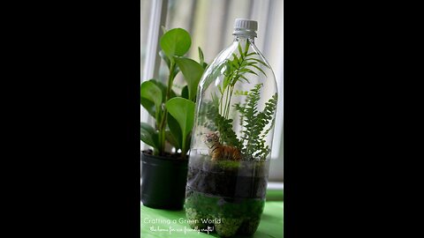 DIY Terrarium