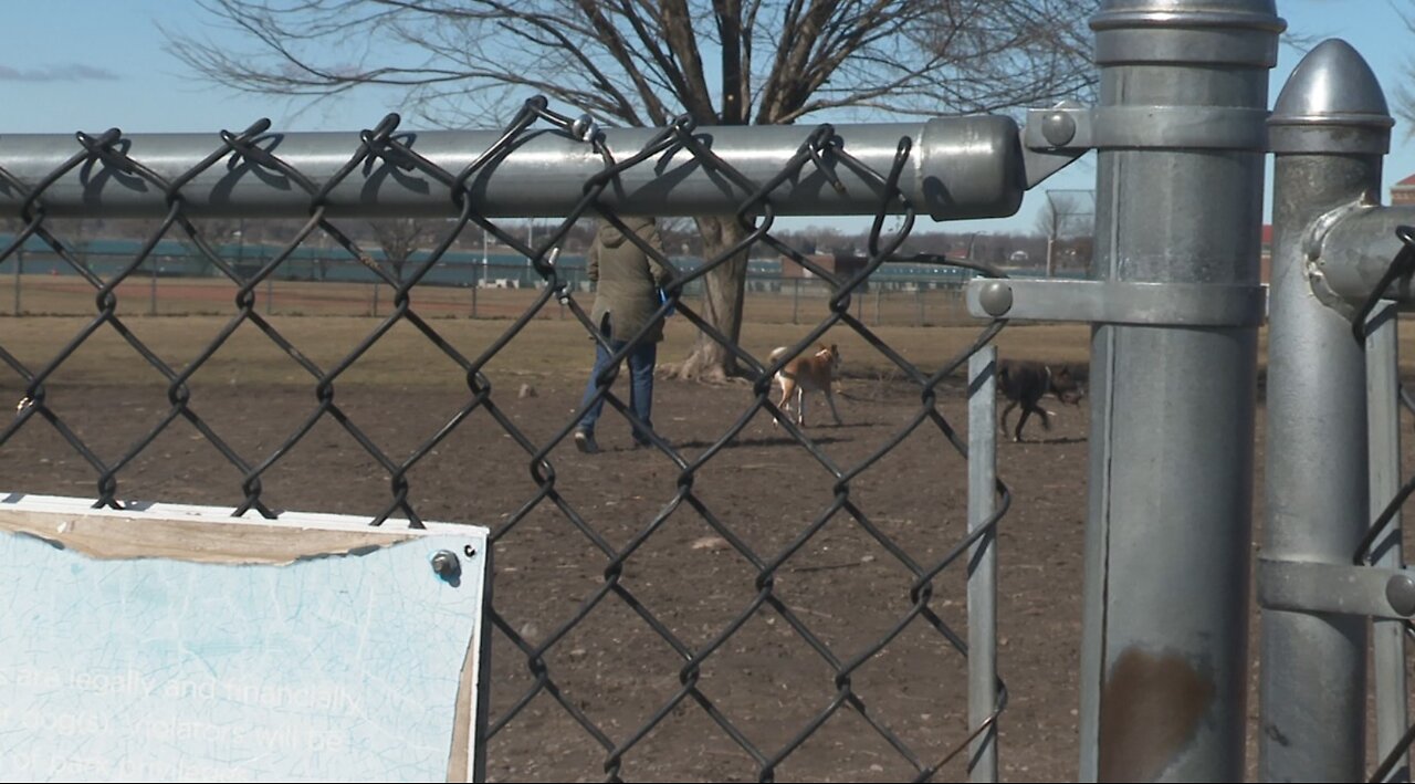 North Tonawanda dog control officer provides tips to break up dog fights