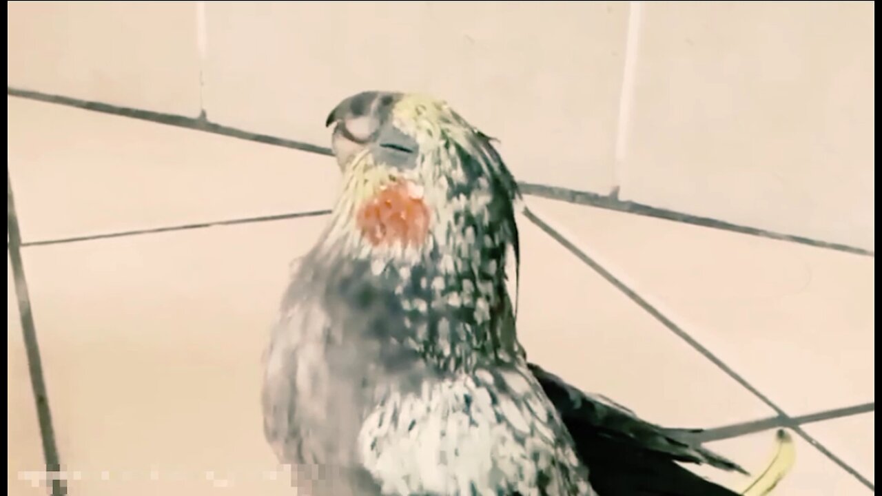 Let's Go Take A Shower, But It Seems That Everyone's Opinion About It Is Not The Same