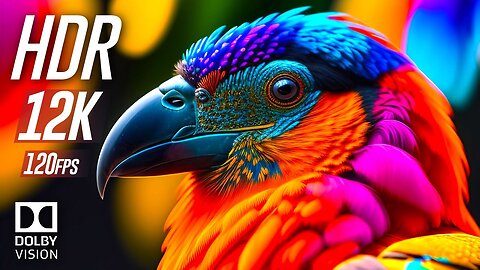 Intense Brightness 12K HDR 60fps Dolby Vision