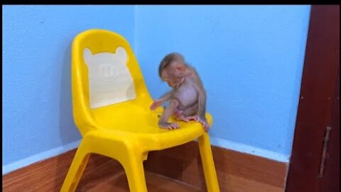 Oh... Hurry Up Mom I'm Out Of Poop- Po0p