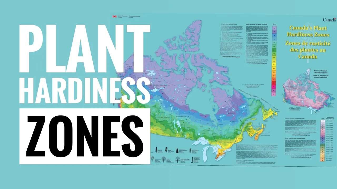 CANADIAN PLANT ZONES. HOW TO FIND YOUR HARDINESS ZONE IN CANADA. PLANT LABELS | Gardening in Canada