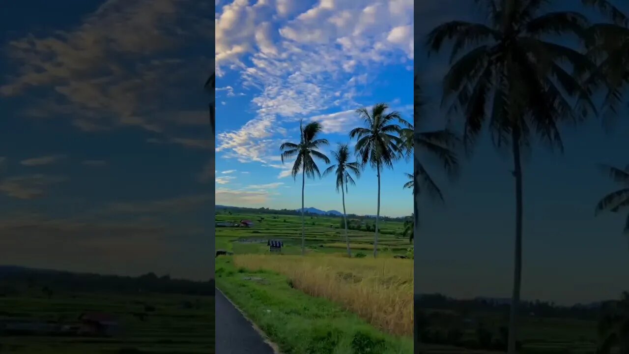 pemandangan 😳