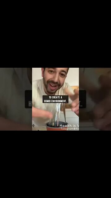 Grow your own Strawberries from its peel