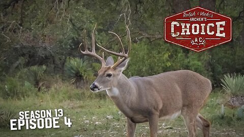 Whitetail SWD Buffet Show - Archer’s Choice (Full Episode) // S13: Episode 4