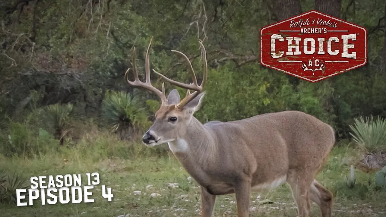 Whitetail SWD Buffet Show - Archer’s Choice (Full Episode) // S13: Episode 4