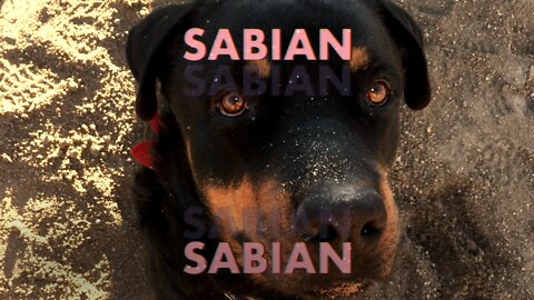 Sabian