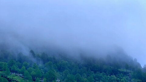 Natural Forest,Kashmir Weather