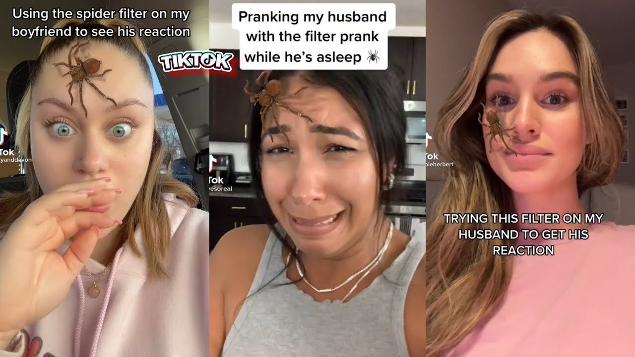 Spider On the Face Filter Prank Compilation 🤣 🤣 🤣