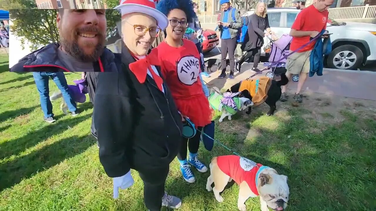 Day 14, Salem Pet Costume Parade