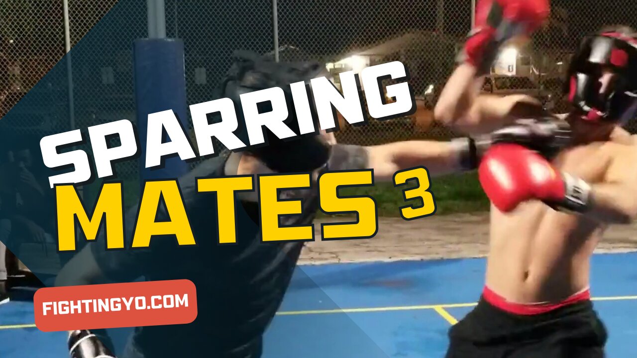 SPARRING MATES 3