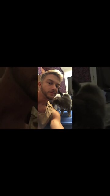 Cute kitty rubbing her face on me