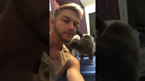 Cute kitty rubbing her face on me