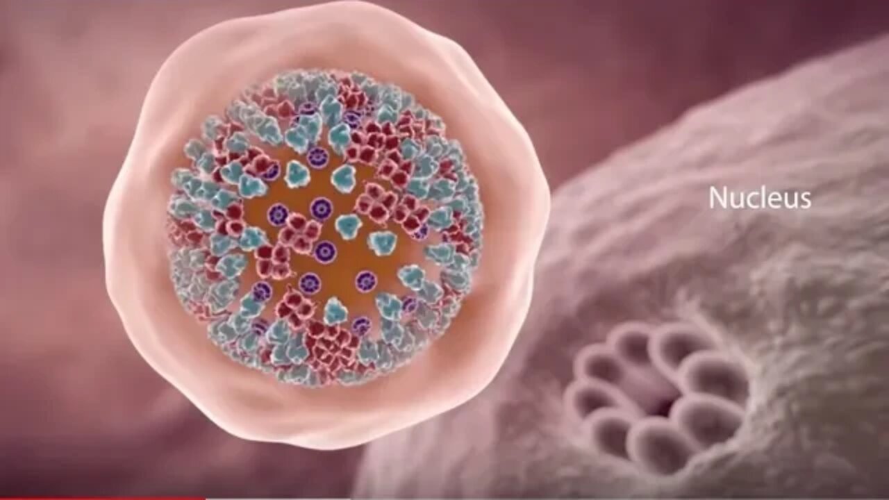 ¿Qué le pasa a tu cuerpo si te contagias de coronavirus?