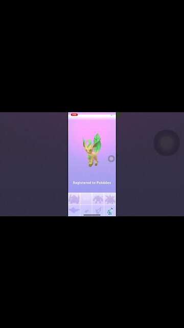 Evolving Shiny Eevee into Shiny Leafeon #shorts | Pokémon Go
