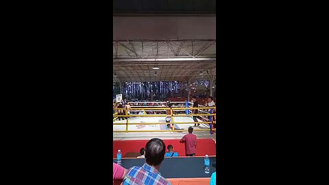 Dwarf Boxing