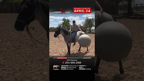 ＢＬＵΞＳ ＣＬＵΞＳ - True blue roan that anyone can ride! He's available through 4/24!