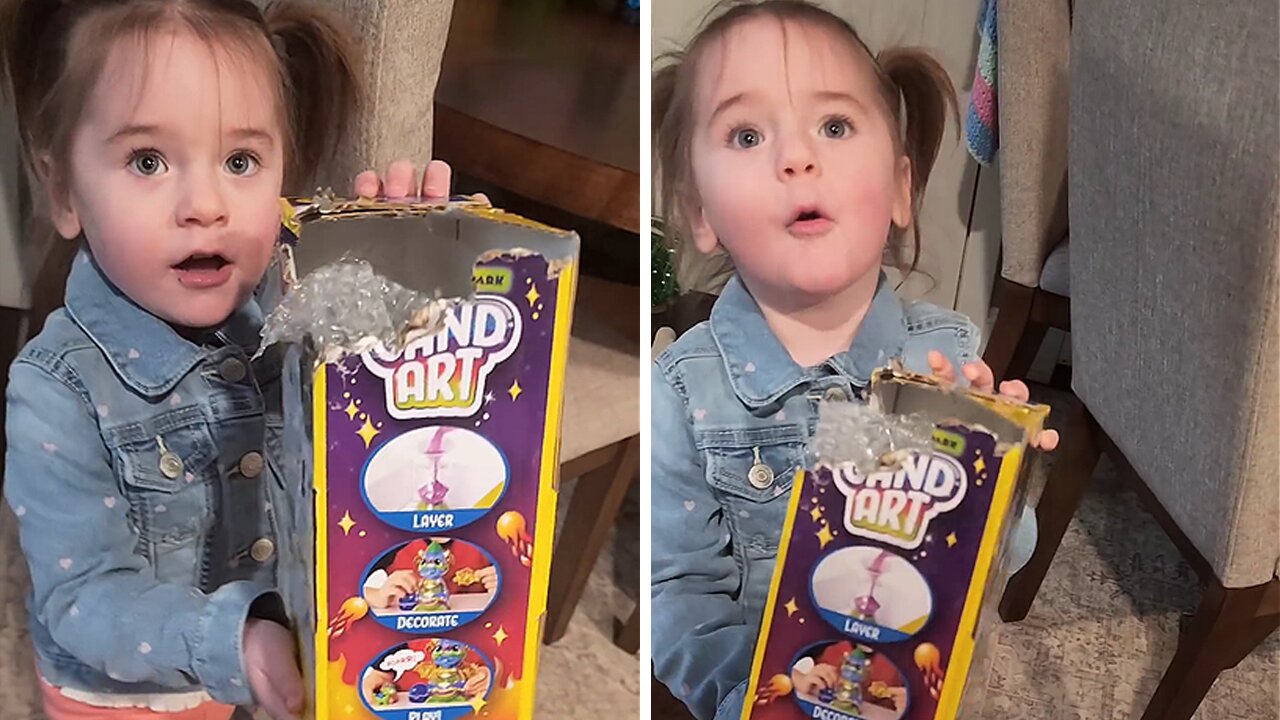 Labrador Helps Little Girl By "Opening" Her Toy Box